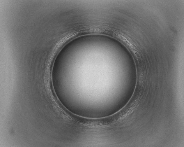 X0000116260673200912141308