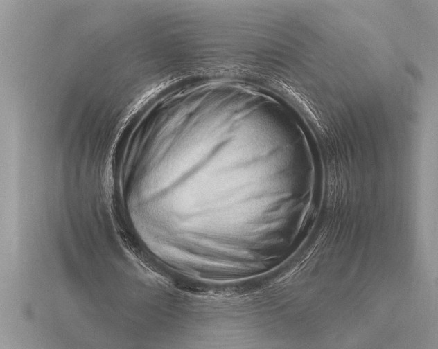 X0000116260674200912141308