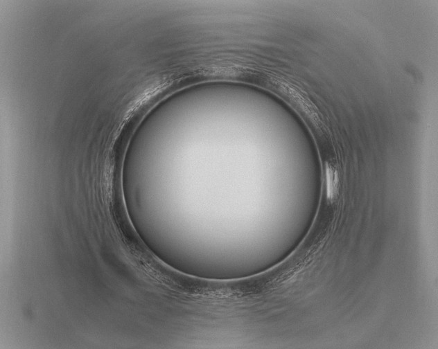 X0000116260675200912141308