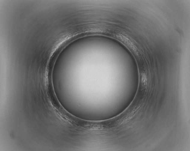 X0000116260676200912141308
