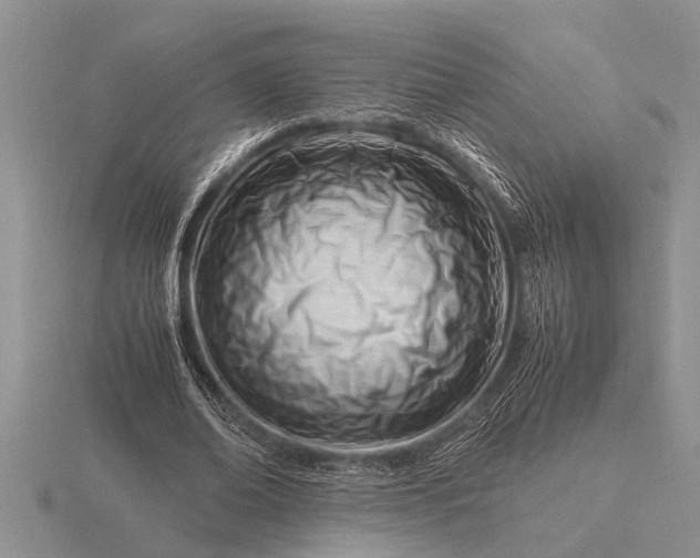 X0000116260678200912141308
