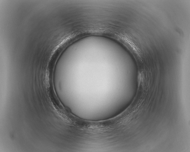 X0000116260684200912141308