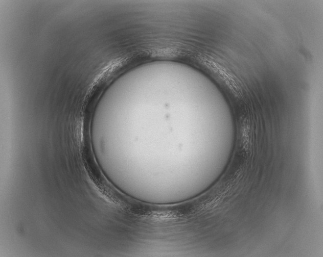 X0000116260686200912141308