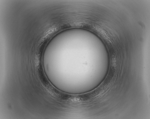 X0000116260687200912141308