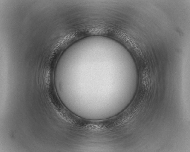 X0000116260690200912141308
