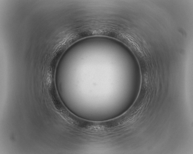 X0000116260691200912141308