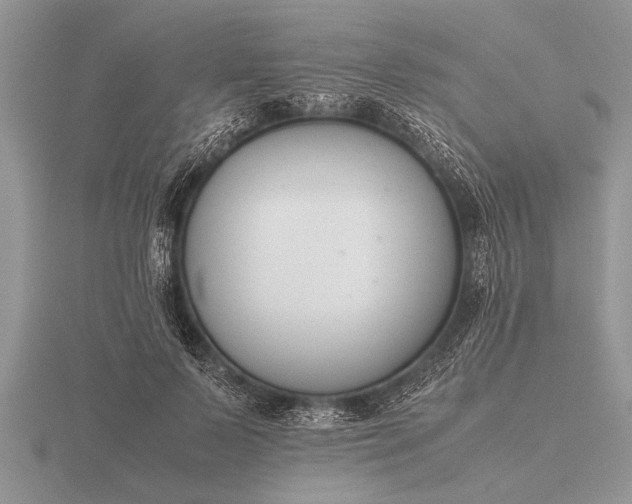X0000116260695200912141308