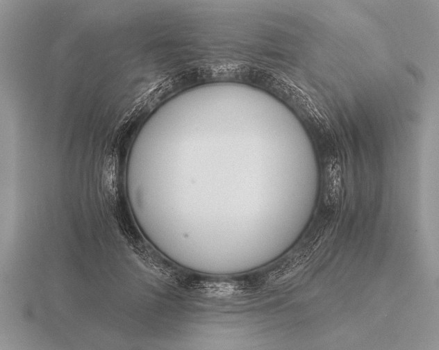 X0000116260698200912141308