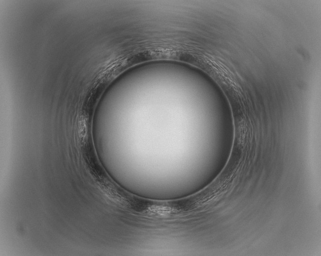 X0000116260699200912141308