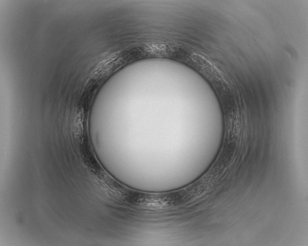 X0000116260702200912141308