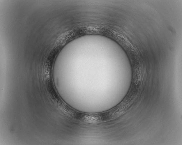 X0000116260706200912141308