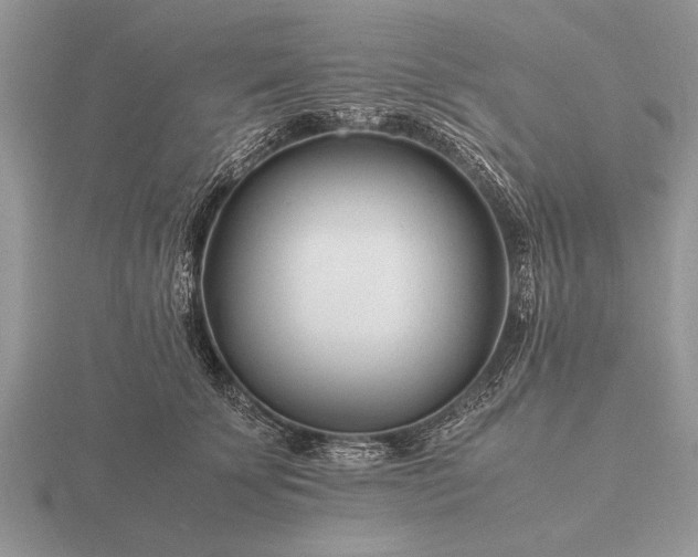 X0000116260707200912141308