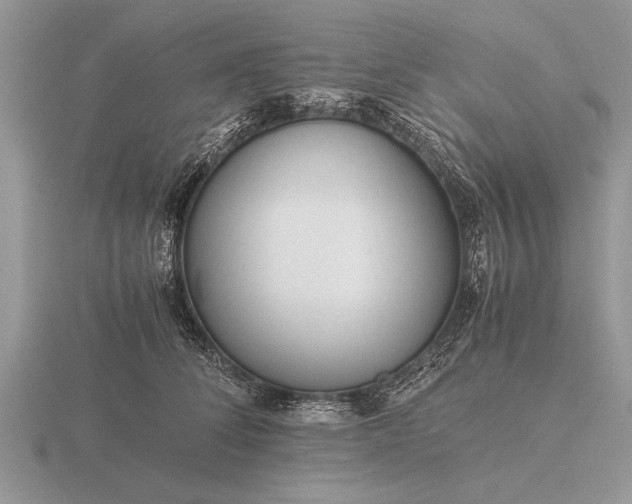 X0000116260708200912141308