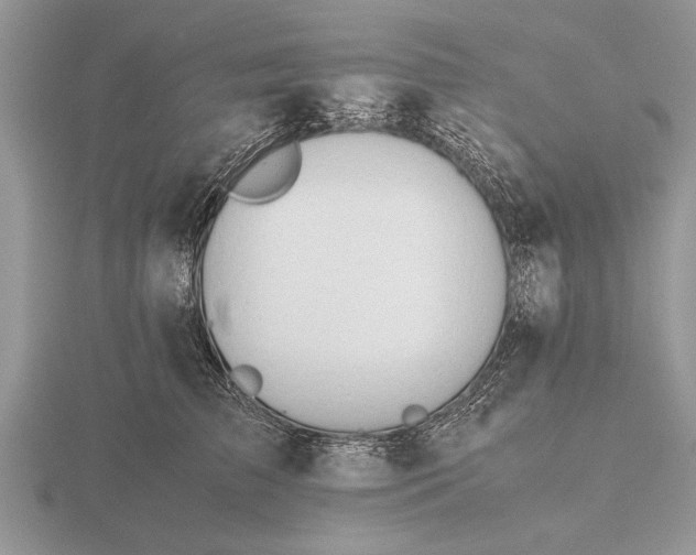 X0000116260709200912141308