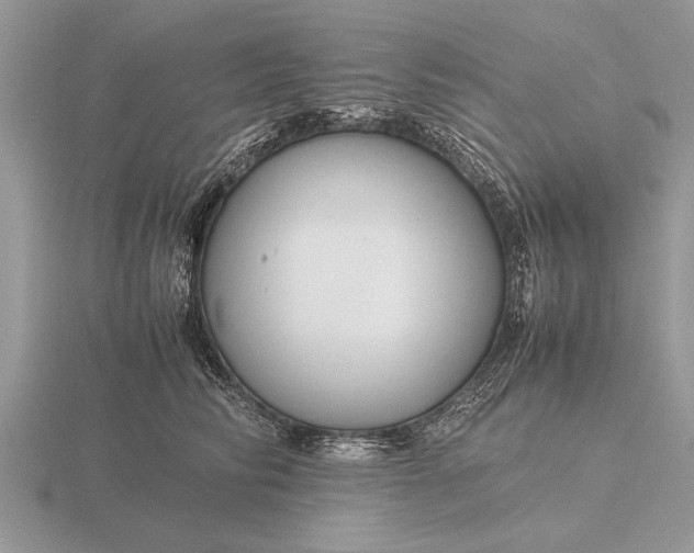 X0000116260710200912141308