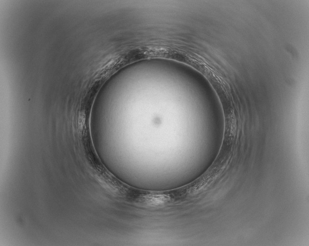 X0000116260711200912141308