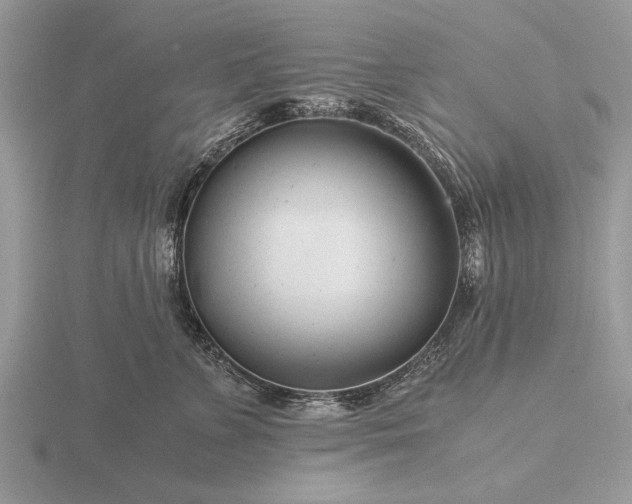 X0000116260715200912141308