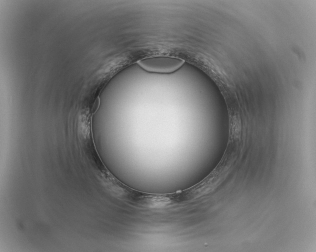 X0000116260719200912141308