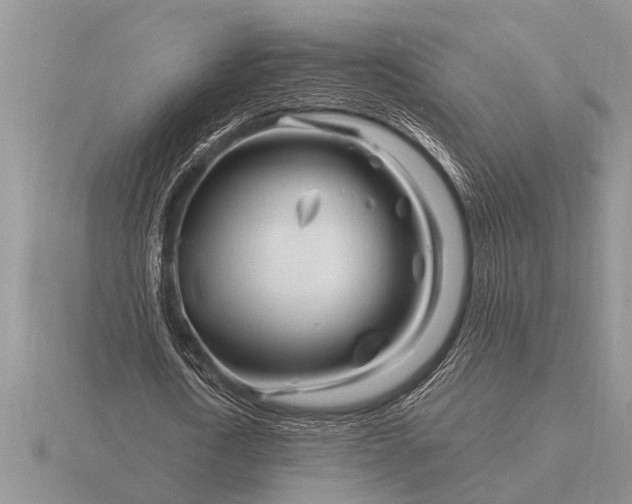 X0000116260722200912141307