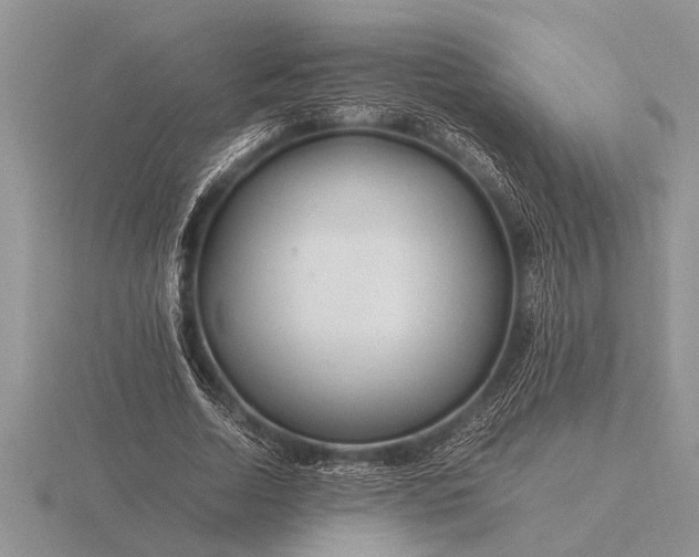 X0000116260730200912141307