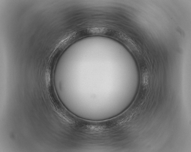 X0000116260733200912141307