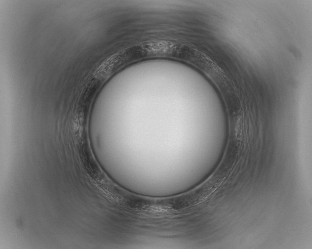X0000116260737200912141307