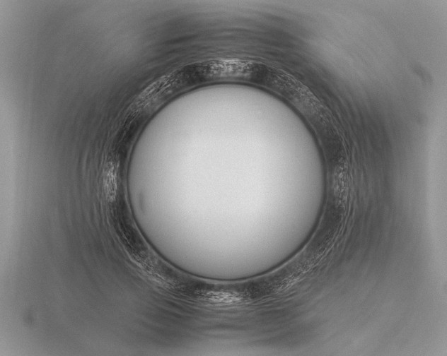 X0000116260741200912141307