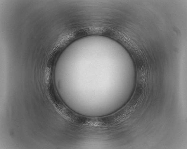 X0000116260742200912141307