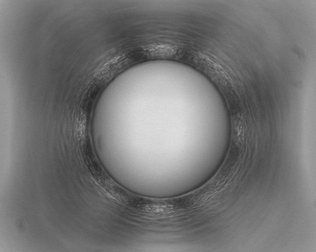 X0000116260745200912141307