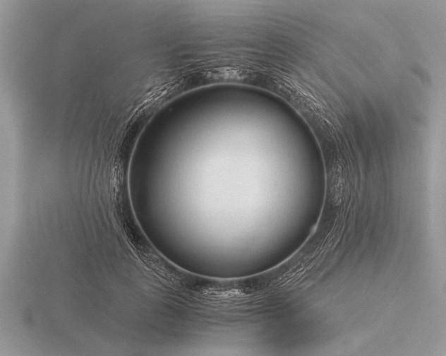 X0000116260747200912141307