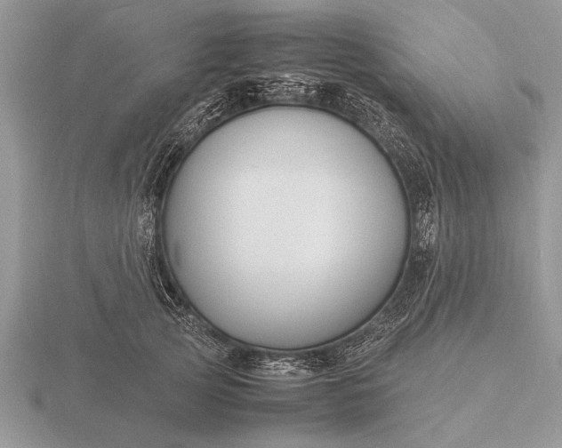 X0000116260753200912141307