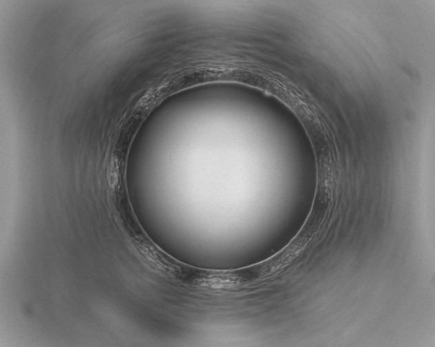 X0000116260758200912141307
