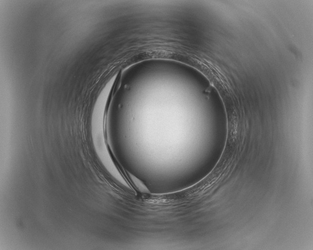X0000116260759200912141307