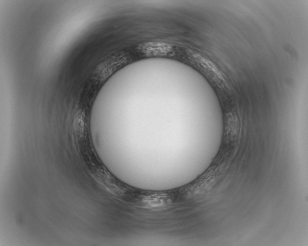 X0000116260761200912141307
