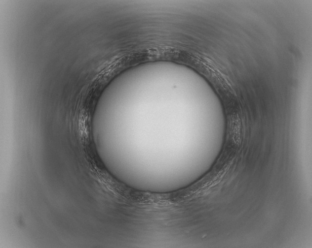 X0000116260770200912141307