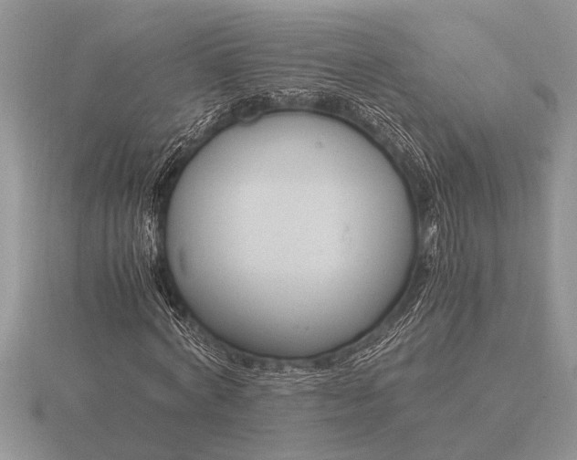 X0000116260772200912141307