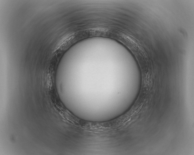 X0000116260774200912141307