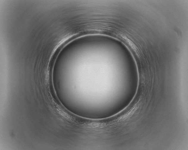 X0000116260779200912141307