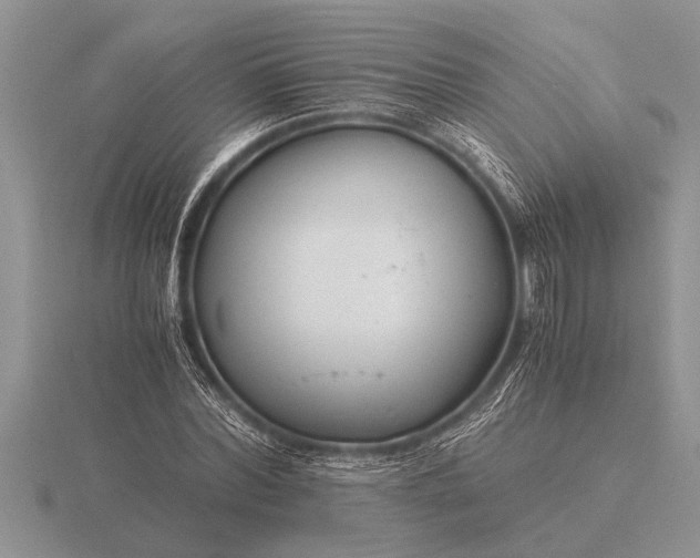 X0000116260780200912141307