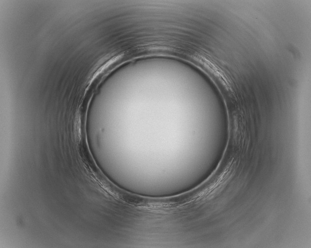 X0000116260782200912141307