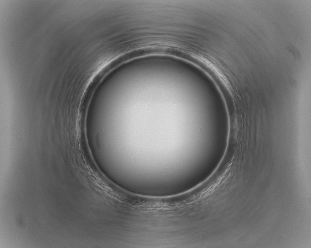 X0000116260783200912141307