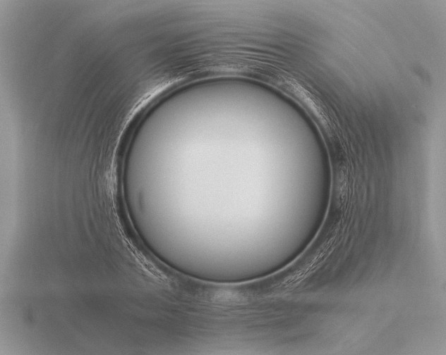 X0000116260787200912141306