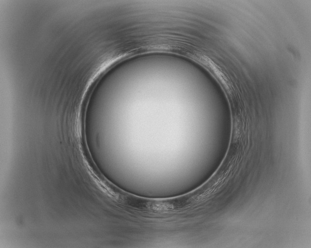X0000116260795200912141306