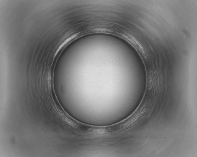 X0000116260798200912141306