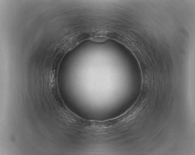 X0000116260818200912141306