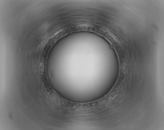 X0000116260821200912141306