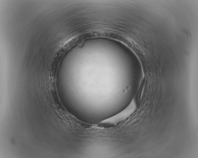 X0000116260822200912141306