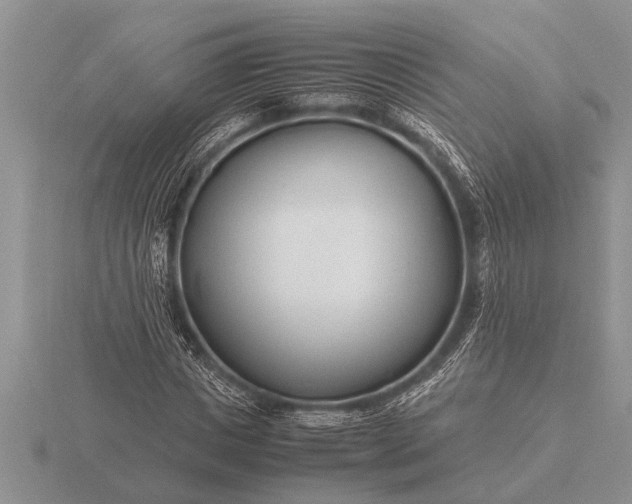 X0000116260825200912141306