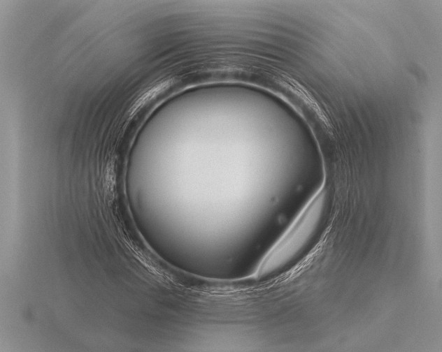 X0000116260826200912141306
