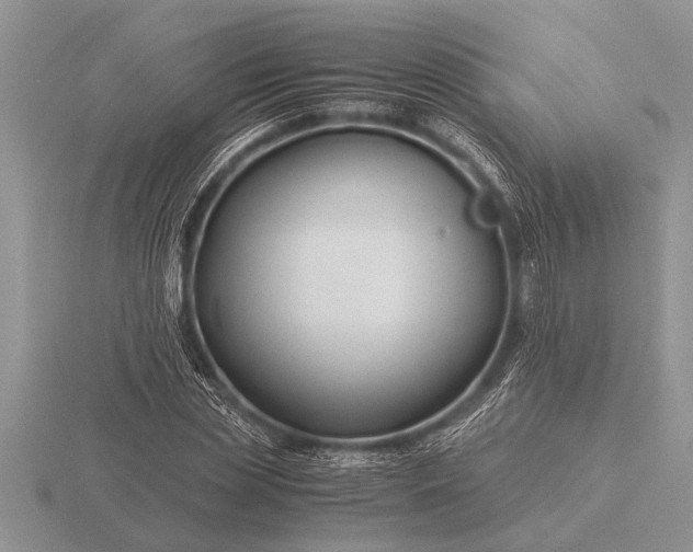 X0000116260829200912141306